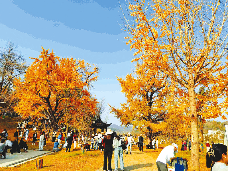 һ~ƾ ȫȦ ǧyӹ＾ı